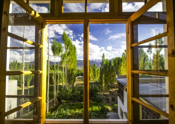 Cost of Wood Window Replacement in Fernandina Beach