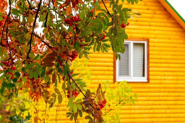 Cost of Garden Window Replacement in Fernandina Beach